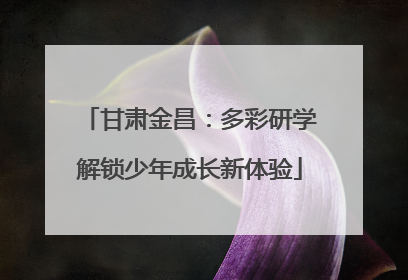甘肃金昌：多彩研学解锁少年成长新体验