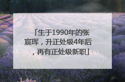 生于1990年的张宸珲，升正处级4年后，再有正处级新职