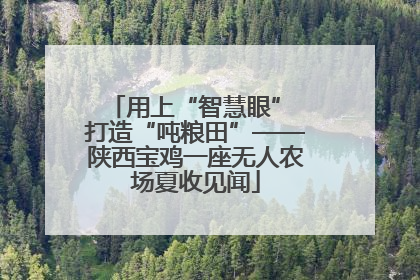 用上“智慧眼” 打造“吨粮田”——陕西宝鸡一座无人农场夏收见闻