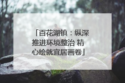 百花湖镇：纵深推进环境整治 精心绘就宜居画卷