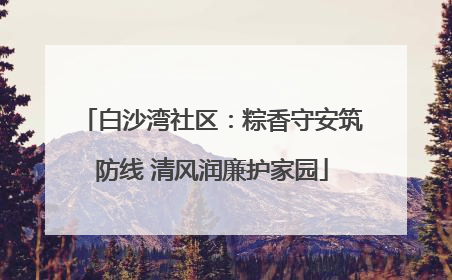 白沙湾社区：粽香守安筑防线 清风润廉护家园