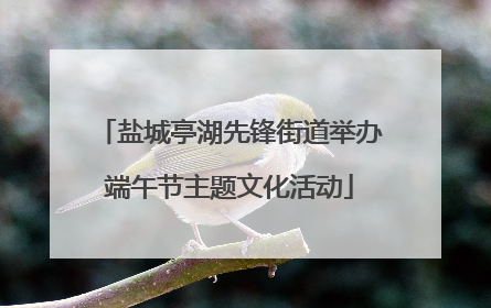 盐城亭湖先锋街道举办端午节主题文化活动
