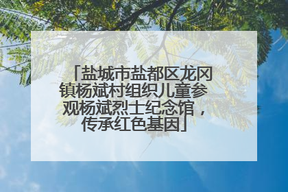 盐城市盐都区龙冈镇杨斌村组织儿童参观杨斌烈士纪念馆，传承红色基因