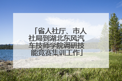省人社厅、市人社局到湖北东风汽车技师学院调研技能竞赛集训工作
