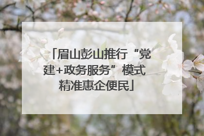 眉山彭山推行“党建+政务服务”模式 精准惠企便民