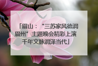 眉山：“三苏家风德润眉州”主题晚会精彩上演千年文脉润泽当代