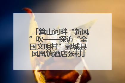 箕山河畔“新风”吹——探访“全国文明村”鄄城县凤凰镇酒店张村
