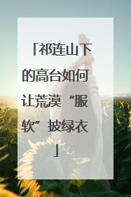 祁连山下的高台如何让荒漠“服软”披绿衣