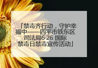 禁毒齐行动，守护幸福中——四平市铁东区司法局6·26 国际禁毒日禁毒宣传活动