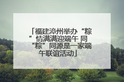 福建漳州举办“粽”情满满迎端午 同“粽”同源是一家端午联谊活动