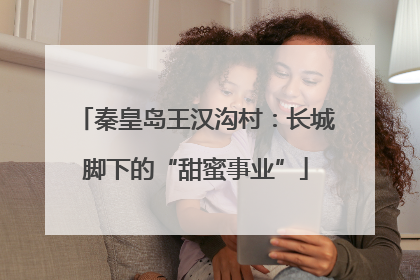 秦皇岛王汉沟村：长城脚下的“甜蜜事业”