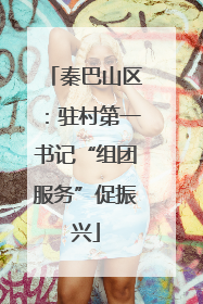 秦巴山区：驻村第一书记“组团服务”促振兴