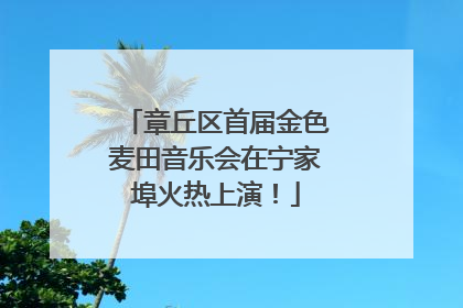 章丘区首届金色麦田音乐会在宁家埠火热上演！