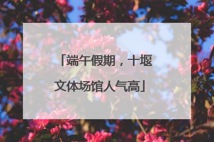 端午假期，十堰文体场馆人气高