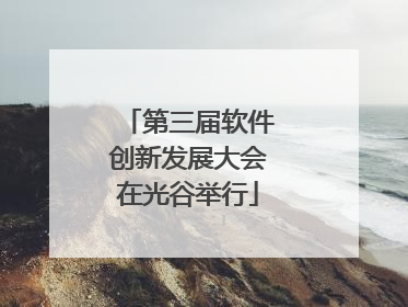 第三届软件创新发展大会在光谷举行