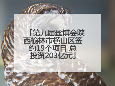 第九届丝博会陕西榆林市横山区签约19个项目 总投资203亿元