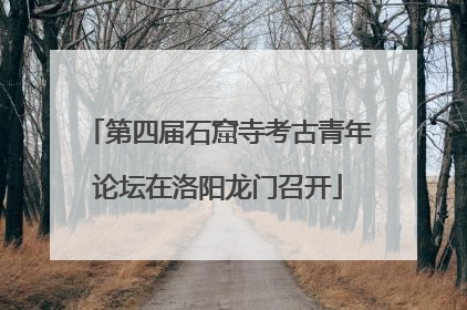第四届石窟寺考古青年论坛在洛阳龙门召开