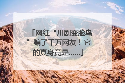 网红“川剧变脸鸟”骗了千万网友！它的真身竟是……