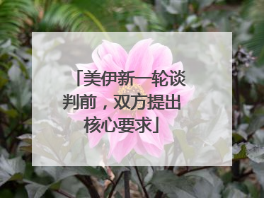 美伊新一轮谈判前，双方提出核心要求