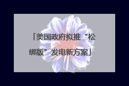 美国政府拟推“松绑版”发电新方案