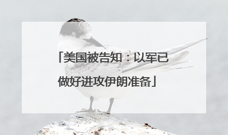 美国被告知：以军已做好进攻伊朗准备