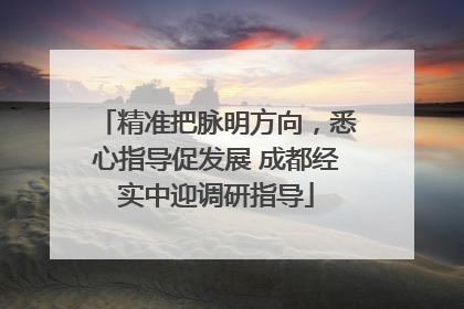 精准把脉明方向，悉心指导促发展 成都经实中迎调研指导