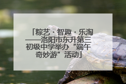 粽艺・智趣・乐淘——洛阳市东升第三初级中学举办“端午奇妙游”活动
