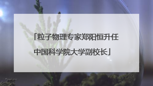 粒子物理专家郑阳恒升任中国科学院大学副校长
