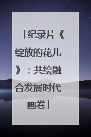 纪录片《绽放的花儿》：共绘融合发展时代画卷