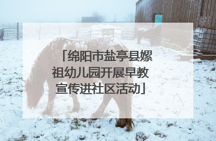 绵阳市盐亭县嫘祖幼儿园开展早教宣传进社区活动