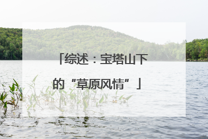 综述：宝塔山下的“草原风情”