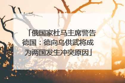 俄国家杜马主席警告德国：德向乌供武将成为两国发生冲突原因