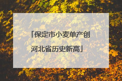 保定市小麦单产创河北省历史新高
