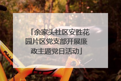 余家头社区安胜花园片区党支部开展廉政主题党日活动