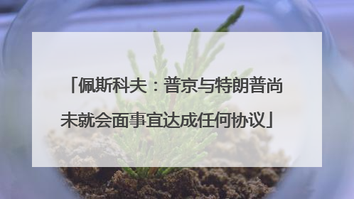 佩斯科夫：普京与特朗普尚未就会面事宜达成任何协议