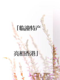 临潼特产亮相香港