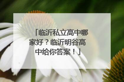临沂私立高中哪家好？临沂明谷高中给你答案！