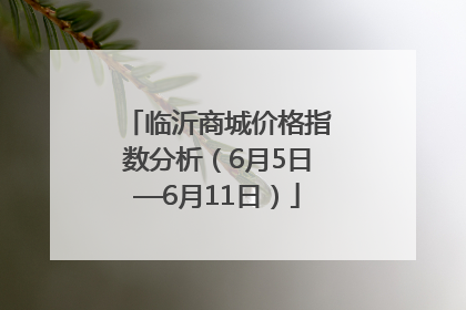 临沂商城价格指数分析（6月5日—6月11日）