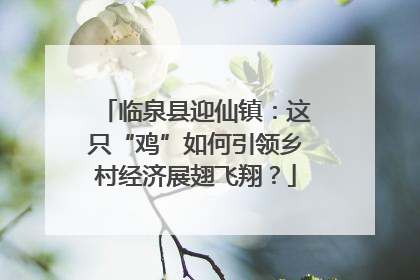 临泉县迎仙镇：这只“鸡”如何引领乡村经济展翅飞翔？