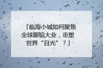 临海小城如何聚焦全球眼镜大业，重塑世界“目光”？