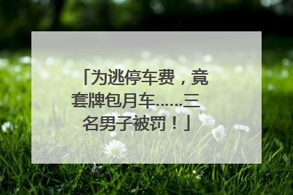 为逃停车费，竟套牌包月车……三名男子被罚！