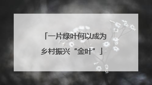一片绿叶何以成为乡村振兴“金叶”