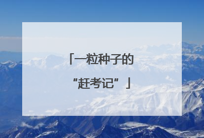 一粒种子的“赶考记”