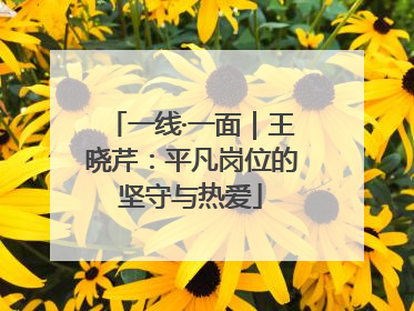 一线·一面｜王晓芹：平凡岗位的坚守与热爱
