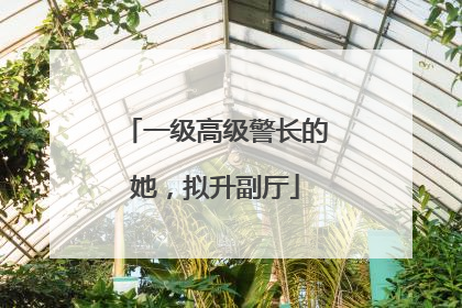 一级高级警长的她，拟升副厅