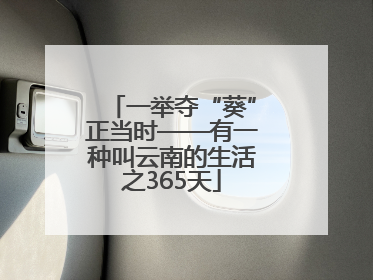 一举夺“葵”正当时——有一种叫云南的生活之365天