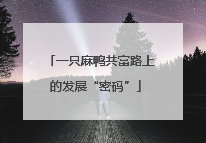 一只麻鸭共富路上的发展“密码”