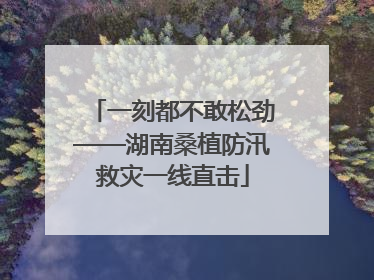 一刻都不敢松劲——湖南桑植防汛救灾一线直击