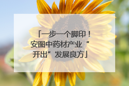 一步一个脚印！安图中药材产业“开出”发展良方
