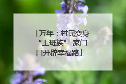 万年：村民变身“上班族” 家门口开辟幸福路